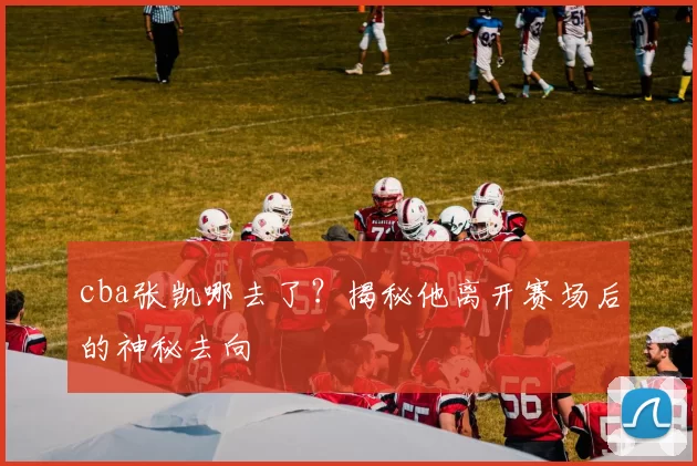 cba张凯哪去了？揭秘他离开赛场后的神秘去向